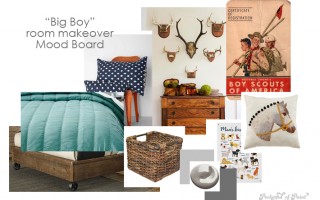 “Big Boy” room makeover Mood Board